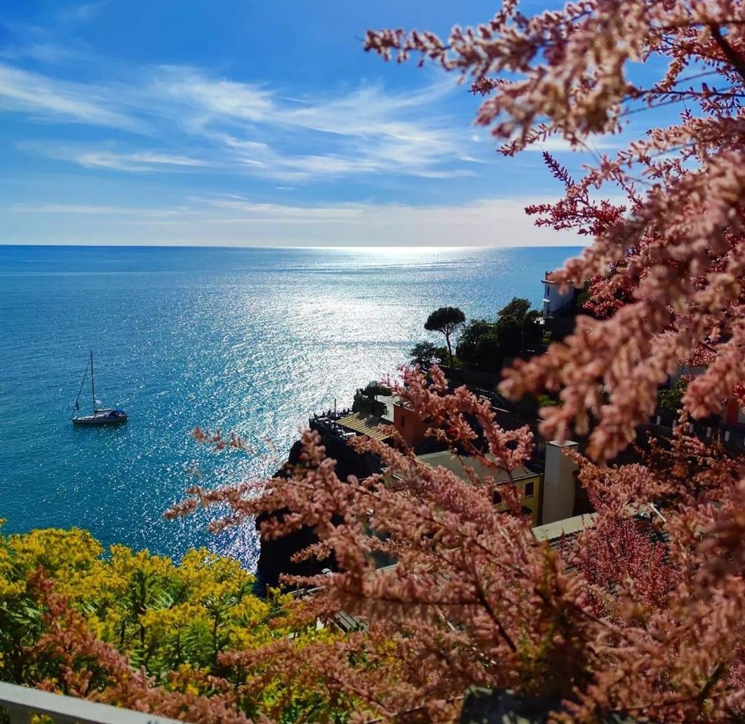 Exotic Flavour House Hotell La Spezia Exteriör bild